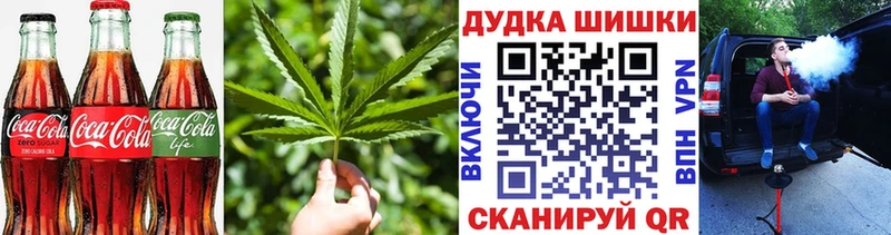 Canna-Cookies марихуана  Зима 
