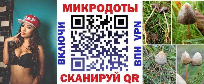 Галлюциногенные грибы GOLDEN TEACHER  Зима 